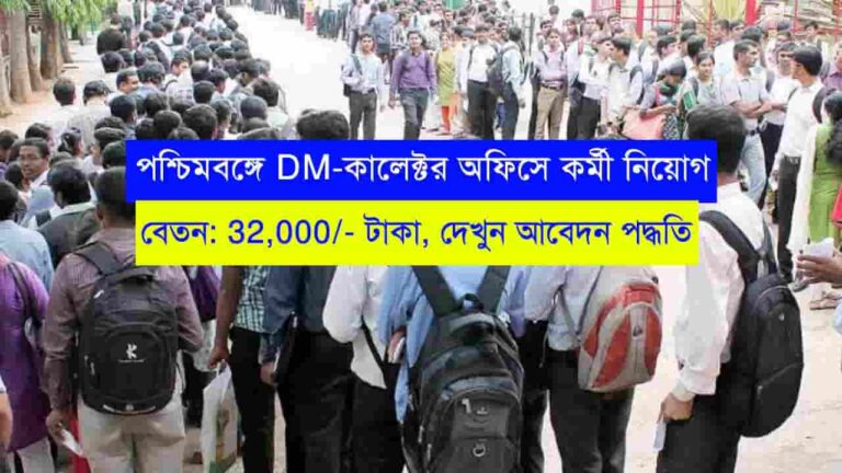 DM-Collector Office Recruitment 2023